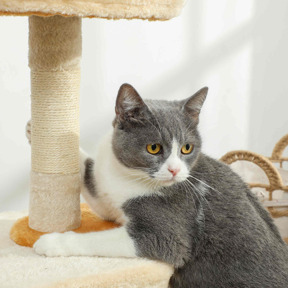 Arbre à Chat 72 cm, Perchoir Doux, Plateforme en Forme de Poisson, Niche en Peluche, Poteaux en Sisal, Balle, Beige-7