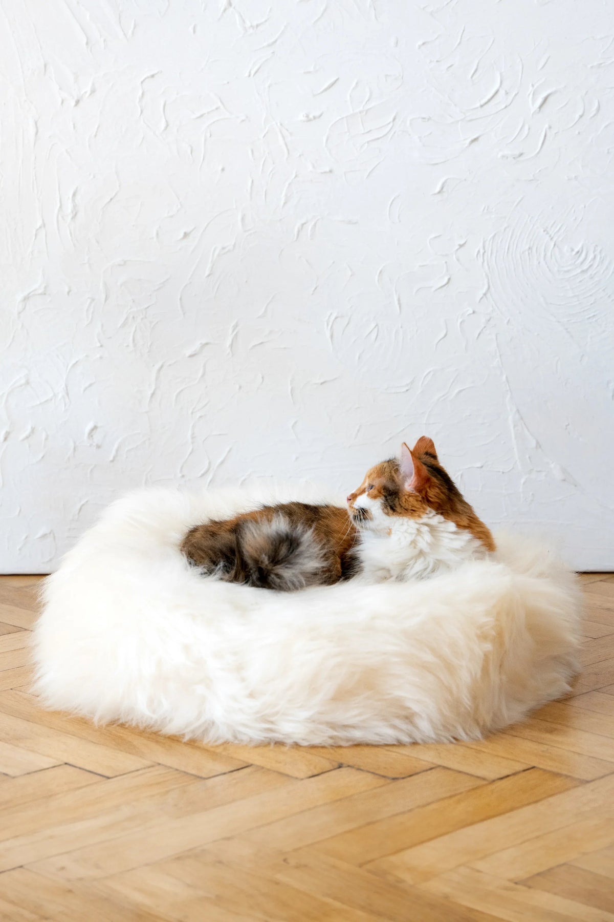 Round Natural Sheepskin Pet Bed - White-2