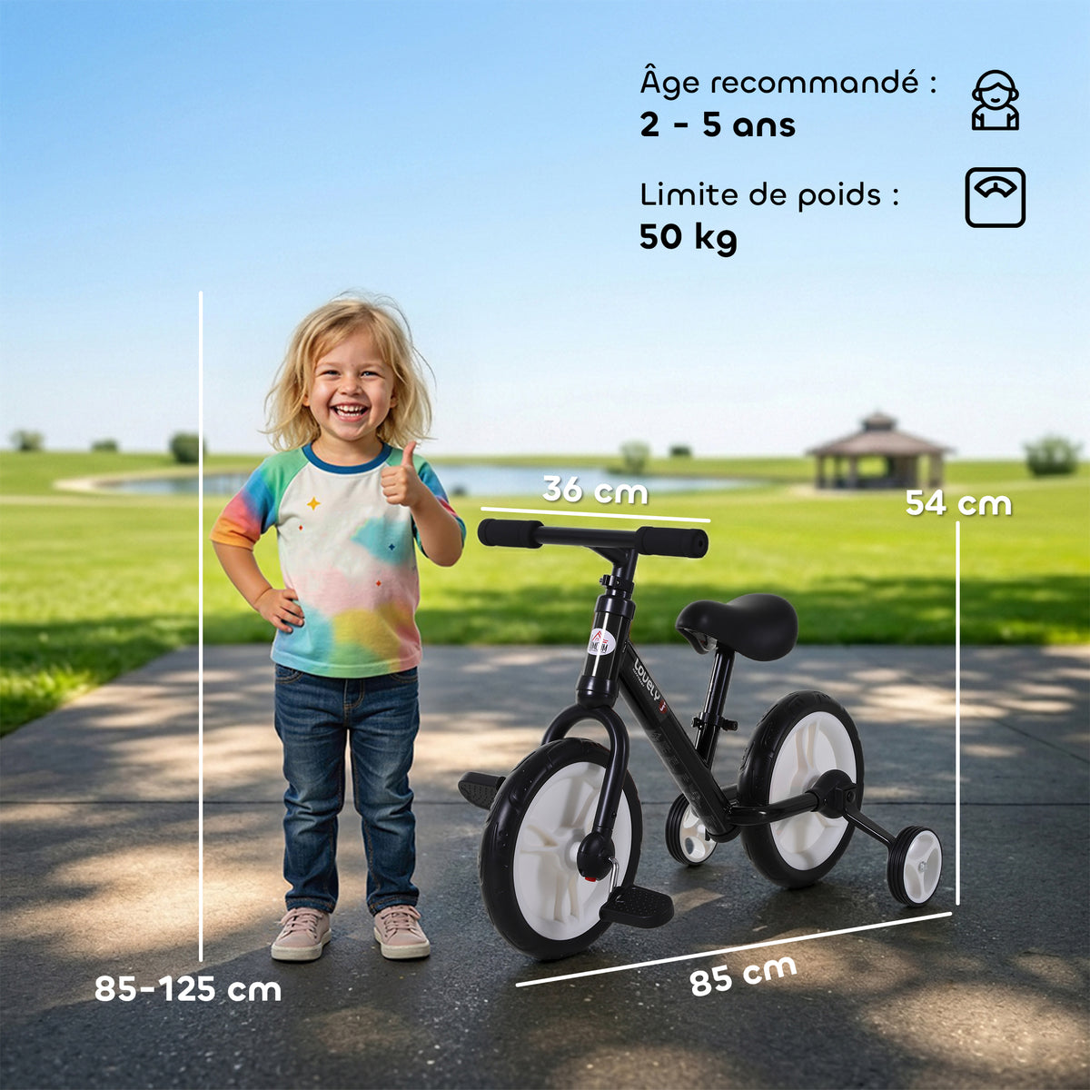 Vélo Enfant draisienne 2 en 1 roulettes et pédales Amovibles Roues 12" Hauteur Selle réglable pour enfants de 2 à 5 ans Acier Noir