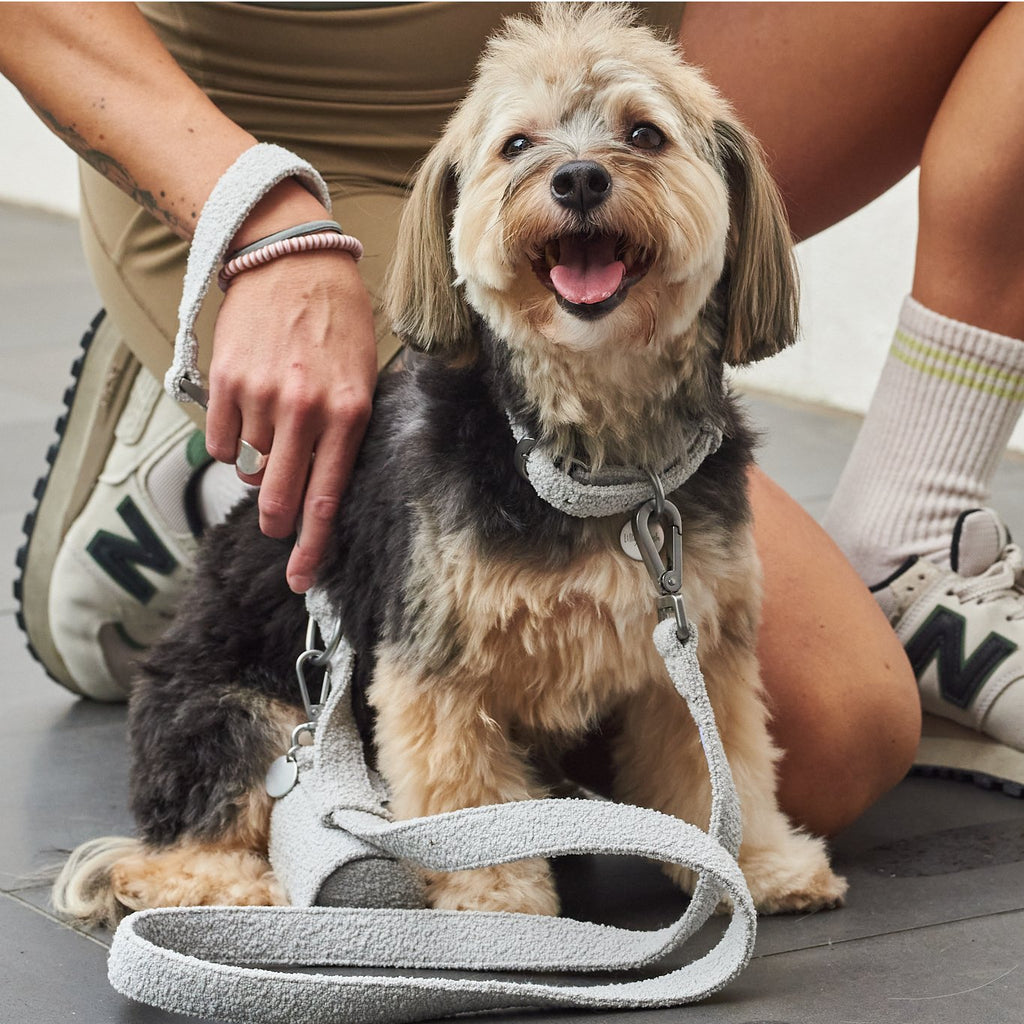 Lilly + Dash bouclé kutyapóráz nyitható fogantyúval – 150 cm