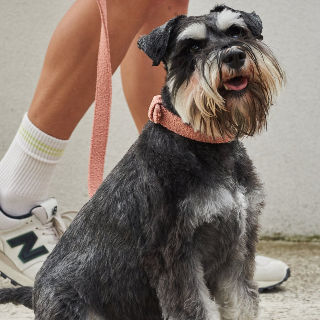 Lilly + Dash bouclé kutyapóráz nyitható fogantyúval – 150 cm